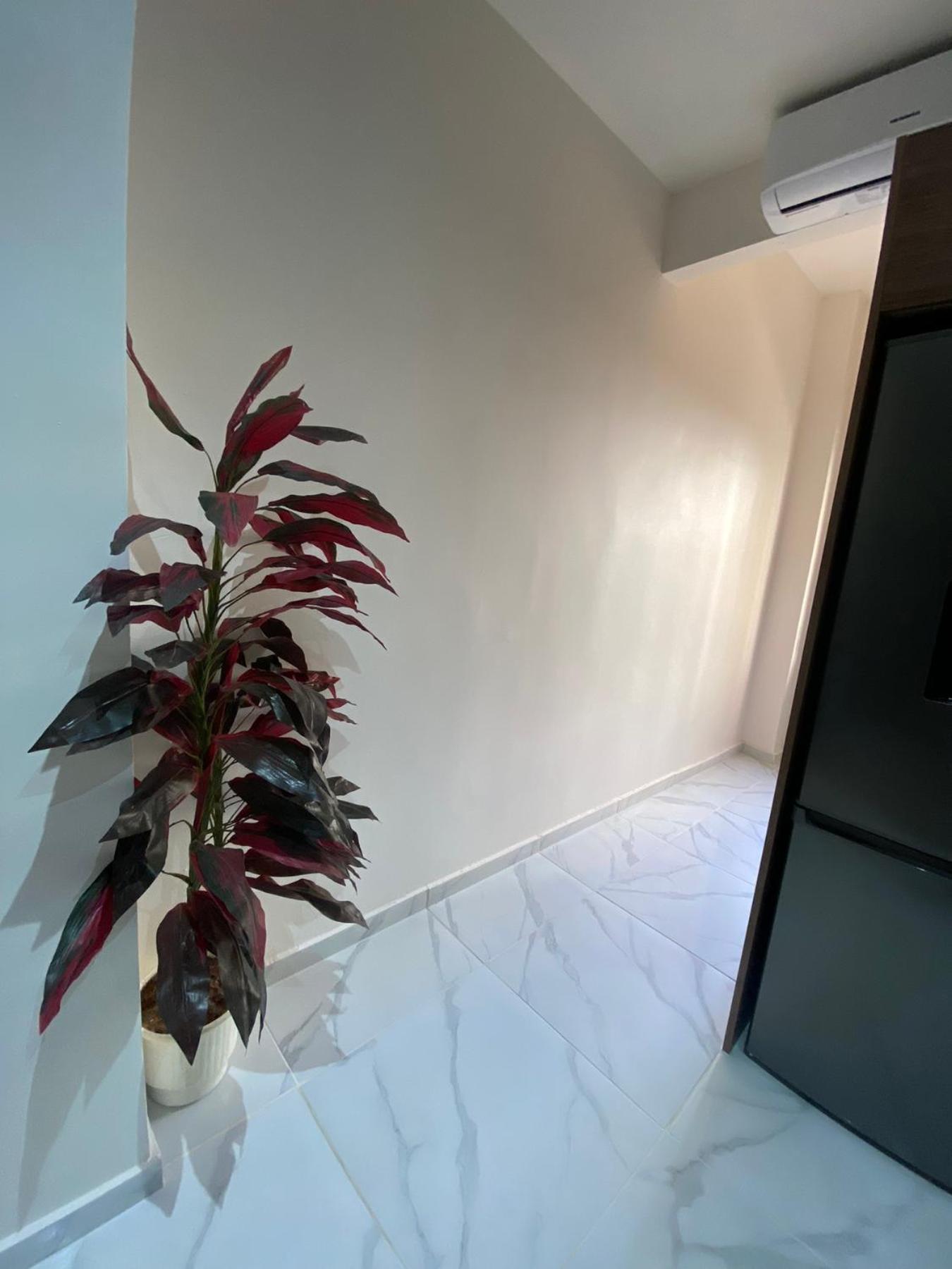 Villa Cemil อเล็กซานโดรโพลิส ภายนอก รูปภาพ